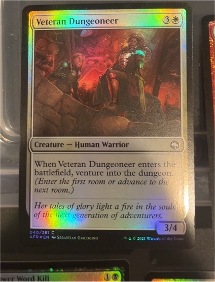 2021 Magic: The Gathering Adventures in the Forgotten Realms #040 Veteran Dungeoneer — front