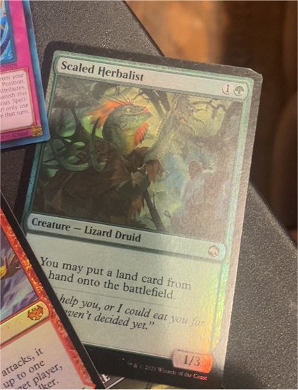 2021 Magic: The Gathering Scaled Herbalist — front