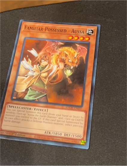 Yu-Gi-Oh! 2013 SDCH-EN037 Familiar-Possessed - Aussa — front