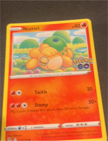 2022 Pokémon GO #013 Numel — front