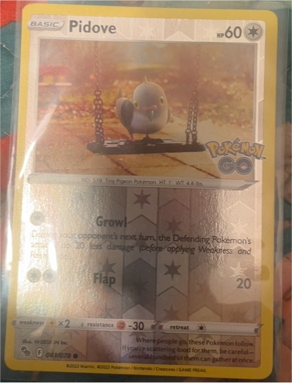 2022 Pokémon GO #061 Pidove — front