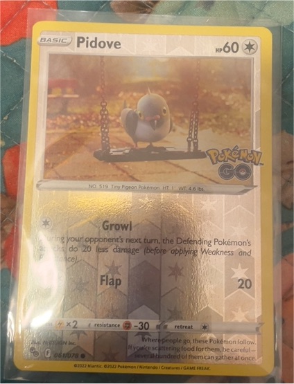 2022 Pokémon GO #061 Pidove — front