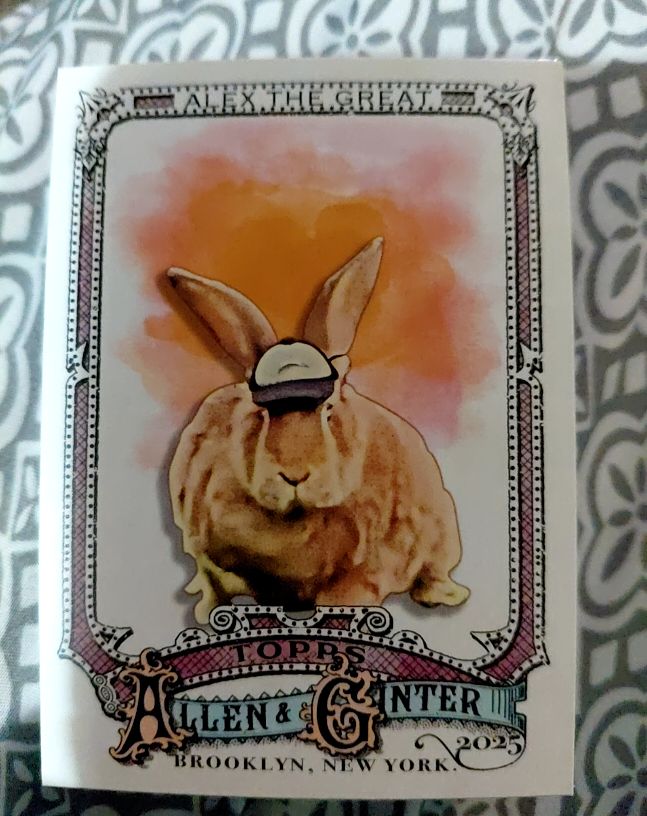 2025 Topps Allen & Ginter #230 Alex the Great — front
