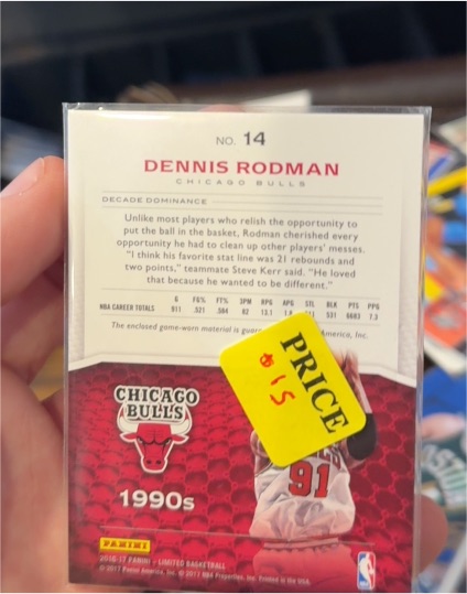 2016-17 Panini Decade Dominance #14 Dennis Rodman — front