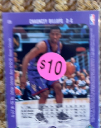1995-96 Fleer #14 Muggsy Bogues — front