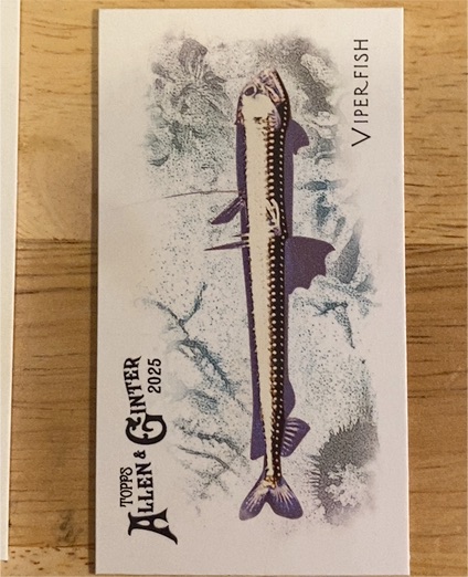 2025 Topps Allen & Ginter 50 Fish From Global Waters Mini #FGW-46 Viperfish — front