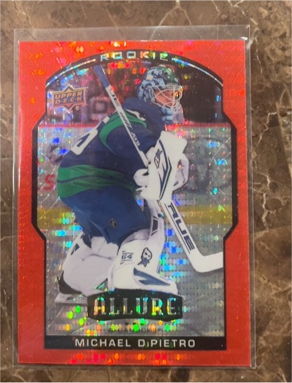 2020-21 Upper Deck Allure #93 Michael DiPietro — front