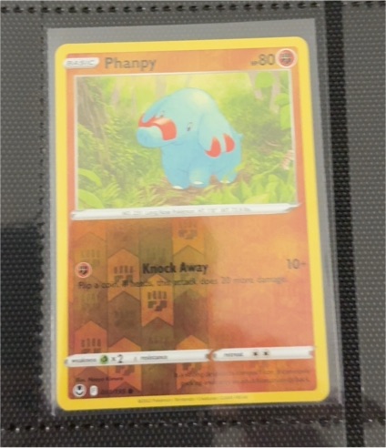 2022 Pokémon Sword & Shield Silver Tempest #091 Phanpy — front