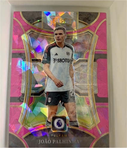 2023-24 Panini Select Premier League #147 João Palhinha — front