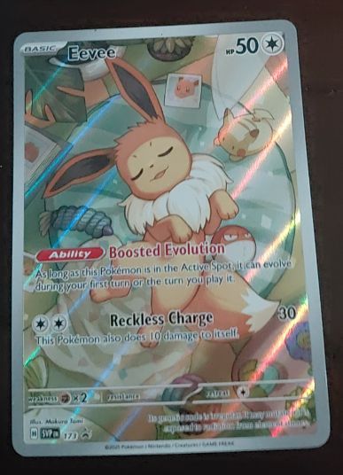 2025 Pokemon SV: Scarlet & Violet Promo #173 Eevee — front