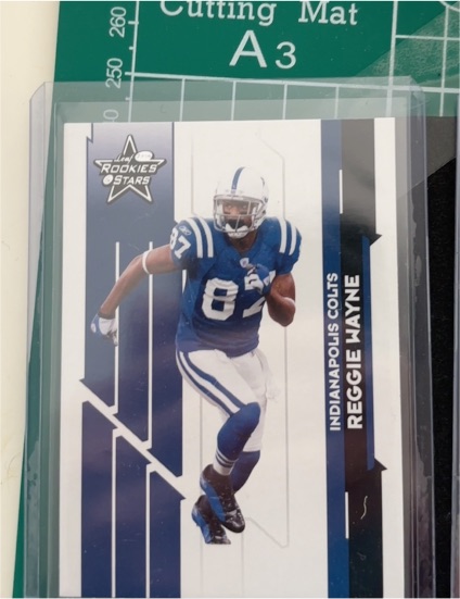 2006 Leaf Rookies and Stars #49 Reggie Wayne — front