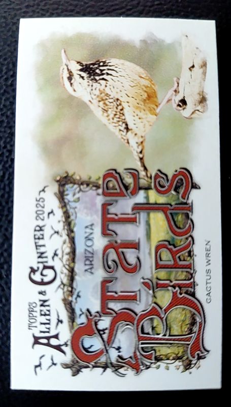 2025 Topps Allen & Ginter #SB-3 Cactus Wren State Birds Mini — front