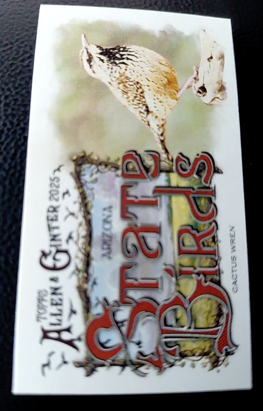 2025 Topps Allen & Ginter State Birds Mini #SB-25 Cactus Wren Arizona — front