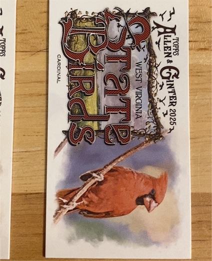 2025 Topps Allen & Ginter #SB-48 West Virginia State Birds Cardinal Mini — front