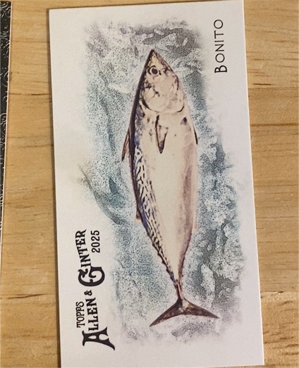 2025 Topps Allen & Ginter Bonito From Global Waters Mini — front