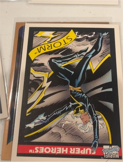 1990 Impel Marvel Universe Series 1 #24 Storm — front