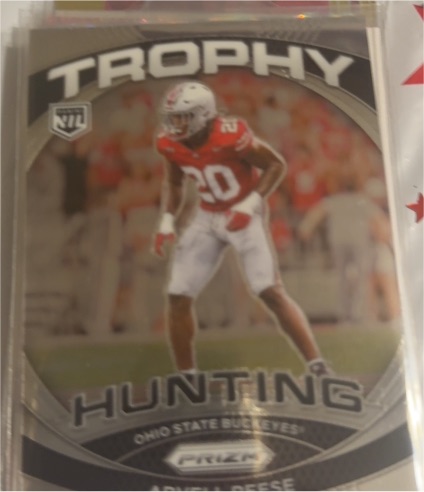2024 Panini Prizm Trophy Hunting #TH Adriel Reese — front