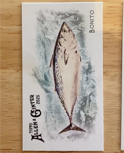 2025 Topps Allen & Ginter Fish From Global Waters MINI FGW-44 Bonito — front