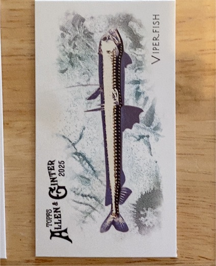 2025 Topps Allen & Ginter #FGW-46 Viperfish — front