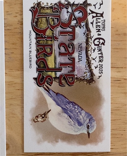 2025 Topps Allen & Ginter #SB-28 Mountain Bluebird — front