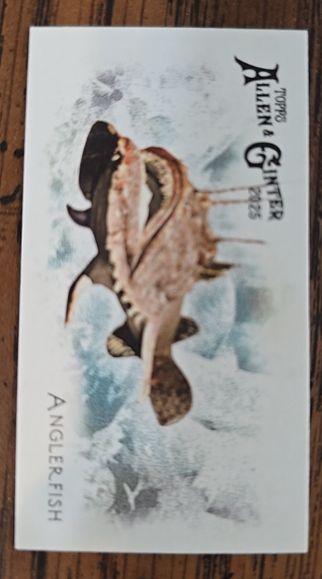 2025 Topps Allen & Ginter #FGW-01 Anglerfish — front