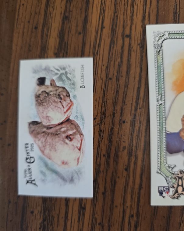 2015 Topps Allen & Ginter Blobfish — front