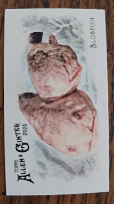 2025 Topps Allen & Ginter #FGW-19 Blobfish — front