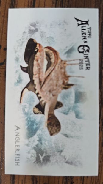 2025 Topps Allen & Ginter Mini From Global Waters #FGW-25 Anglerfish — front