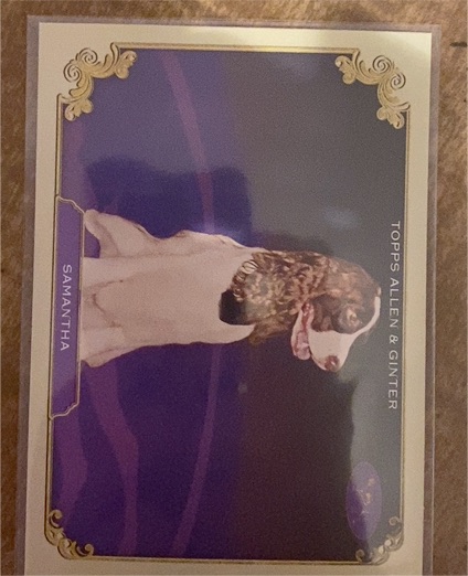 2024 Topps Allen & Ginter #SOS-39 Samantha Stars Of The Show — front