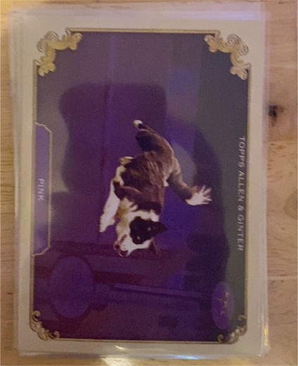 2024 Topps Allen & Ginter #SOS-2 Pink The Westminster Kennel Club — front
