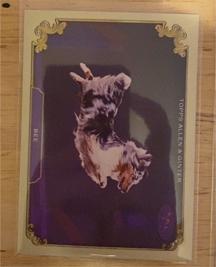2024 Topps Allen & Ginter #SOS-3 Bee Stars of the Show — front