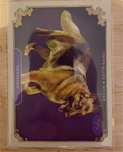 2024 Topps Allen & Ginter #SOS-25 Mercedes Stars of the Show — front