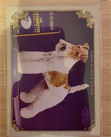 2024 Topps Allen & Ginter #SOS-19 Sky — front