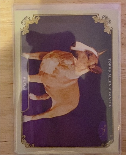 2024 Topps Allen & Ginter Stars of the Show #SOS-23 Rufus — front