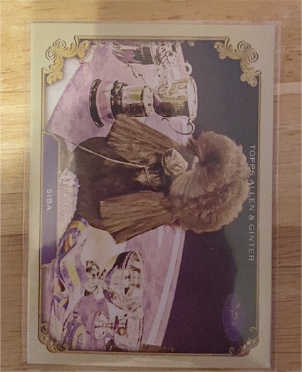 2024 Topps Allen & Ginter #SOS-13 Siba The Westminster Kennel Club — front