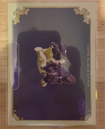 2024 Topps Allen & Ginter #SOS-34 Nimble — front