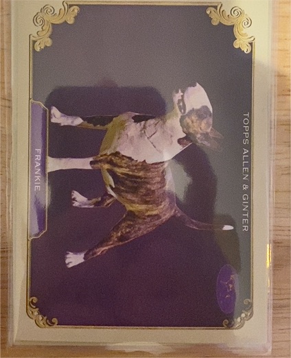 2024 Topps Allen & Ginter #SOS-29 Frankie The Westminster Kennel Club — front