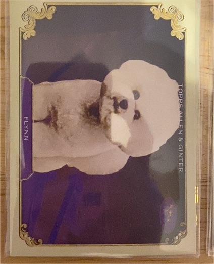2024 Topps Allen & Ginter #SOS-15 Flynn The Westminster Kennel Club — front