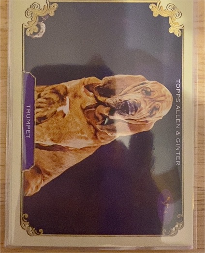2024 Topps Allen & Ginter #SOS-11 Trumpet The Westminster Kennel Club — front
