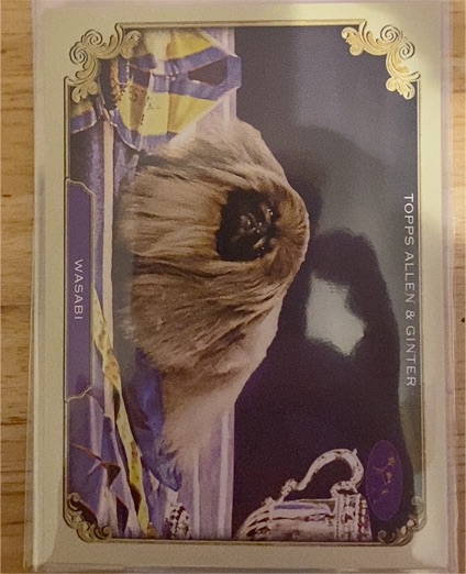 2024 Topps Allen & Ginter #SOS-12 Wasabi — front