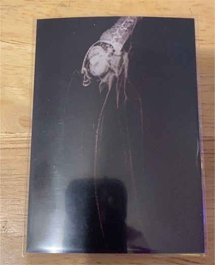 2024 Topps Allen & Ginter Oregon Zoo #XR-1 Toco Toucan X-Ray'd — front