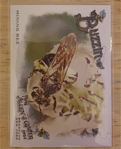 2024 Topps Allen & Ginter #BUZ-12 Mining Bee Buzzin' — front