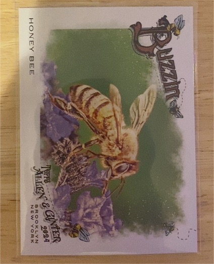 2024 Topps Allen & Ginter #BUZ-2 Honey Bee Buzzin' — front