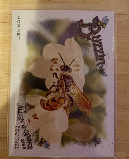 2024 Topps Allen & Ginter #BUZ-15 Hornet Buzzin' — front