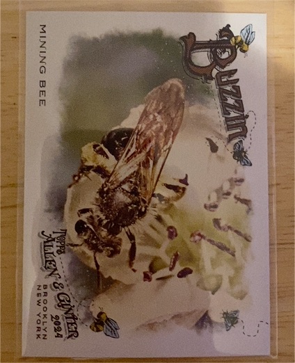 2024 Topps Allen & Ginter #BUZ-12 Mining Bee Buzzin' — front