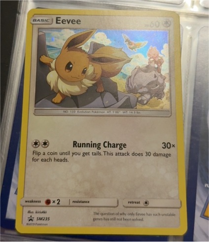 2019 Pokémon SM235 Eevee Black Star Promo — front