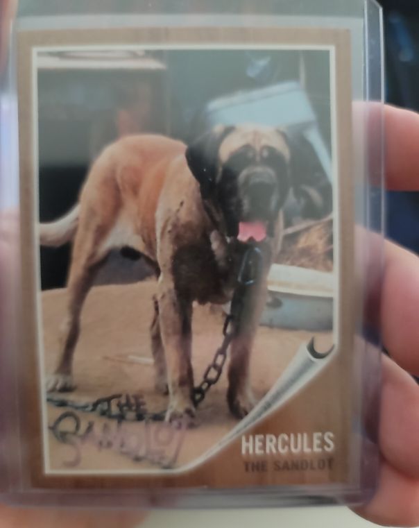 2018 Topps Archives The Sandlot #SL-H Hercules — front
