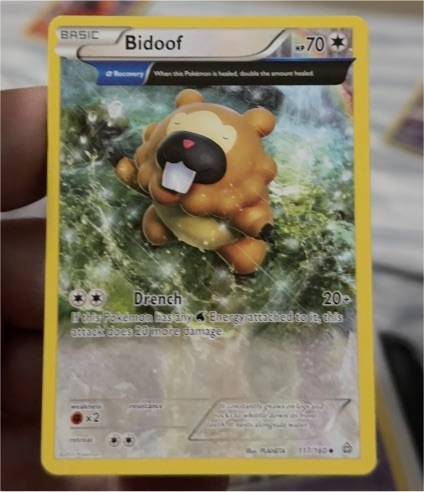 2015 Pokémon XY Primal Clash #117 Bidoof — front