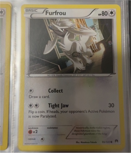2016 Pokémon XY Breakpoint #95 Furfrou — front