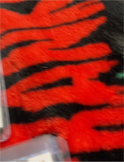 Animal Fun Faux Fur Fabric Material - ORANGE TANGO TIGER — front